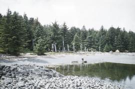 Village site, Anthony Island