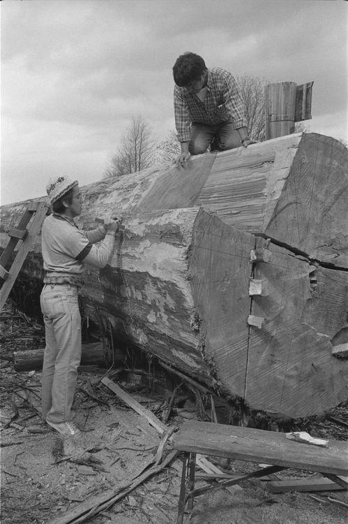 Original digital objects not accessible