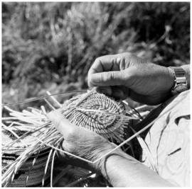 Mrs. Wilson ([Nuu-chah-nulth] basket weaver), Gold River