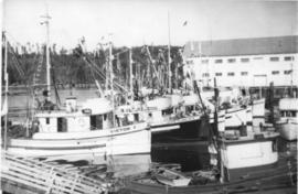Fishing Fleet, Alert Bay, 1957