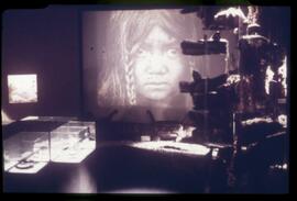 View of a display in Montréal