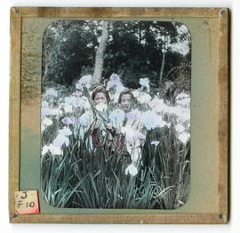 Two women in a field of tall flowers
