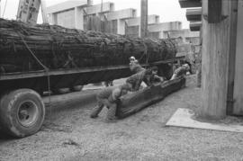 Rolling dunnage into position to hold canoe log