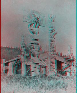 3D stereographic view