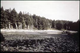 Totem poles on Anthony Island