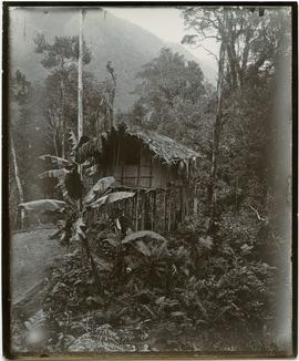 Traditional house New Guinea