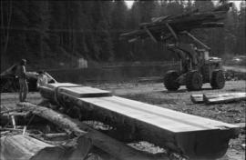 Norman Tait's first view of log at the L&K Log-sorting yard in Gibson’s Landing, B.C.