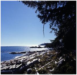 Nuu-chah-nulth], Yuquot (Friendly Cove)