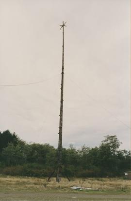 Tall totem pole, Alert Bay, BC