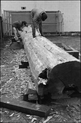 Crew working on log at the Turnbull & Gail construction yard in Richmond (contractors for bui...