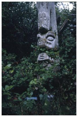 From all over the place, Chiklesaht totem pole