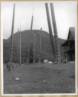 Totem poles in valley