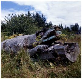 Wolf housepost, Kwakiutl (Kwakwaka'wakw), Mamalilikulla