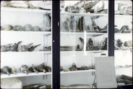 Northwest Coast masks in cabinet