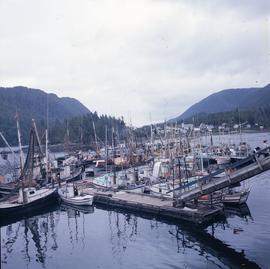 North Coast: [scenery], Tom Brown's cannon, Nowish Cove, Finlayson Channel, Klemtu, Myers Pass ro...