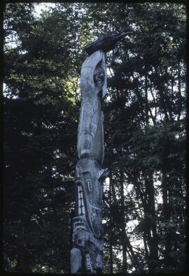 A totem pole standing in Totem Park