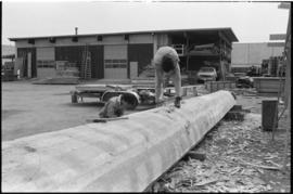 Crew working on log at the Turnbull & Gail construction yard in Richmond (contractors for bui...