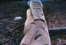 Partially carved totem pole