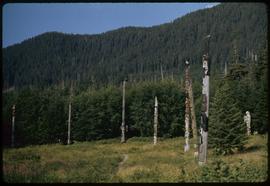 Poles at Totem Bite [Bight], Ketchikan, Alaska