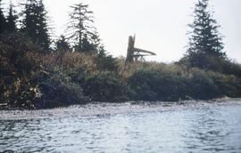 River's Inlet (U'bis), Walkus Pole, May 55