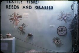 Textile Fibre: Reeds and Grasses