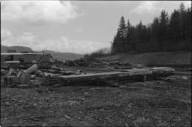 Norman Tait's first view of log at the L&K Log-sorting yard in Gibson’s Landing, B.C.