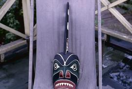 Killer whale mask