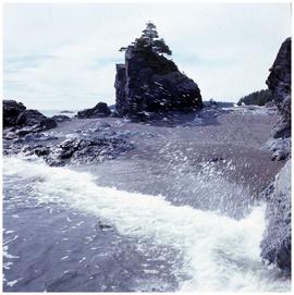 Nuu-chah-nulth], Yuquot (Friendly Cove)