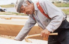 Man working with cedar tree