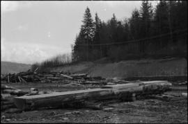 Norman Tait's first view of log at the L&K Log-sorting yard in Gibson’s Landing, B.C.