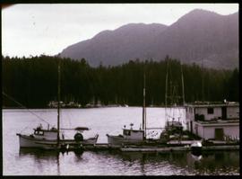 Fishing boats