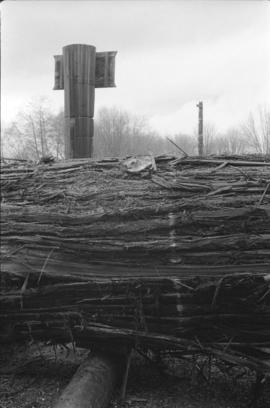 [Close-up of partially stripped log]