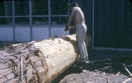 Removing bark from a tree
