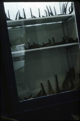 Museum items stored in cabinet