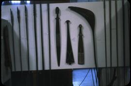 Weapons from the exhibit "Melanesian Culture"