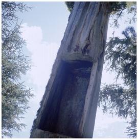 Yan possible structural remains