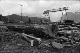 Norman Tait's first view of log at the L&K Log-sorting yard in Gibson’s Landing, B.C.