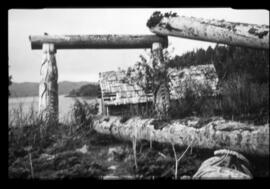 House posts in situ on Hope Island