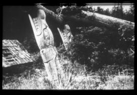 House posts in situ on Hope Island