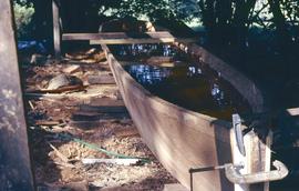 Carving a canoe