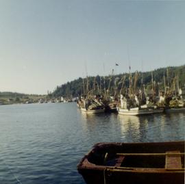Docked fishing boats