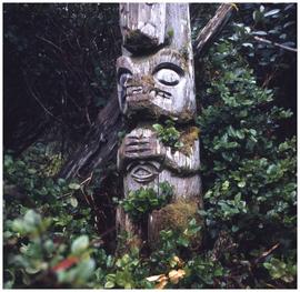 Bottom section of the only standing totem left at Uchucklesaht, Vancouver Island