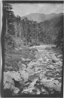 Photo of a stream