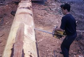 Early cuts on a pole