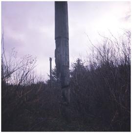 Totem poles, Skeena