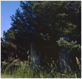 Yan village remains
