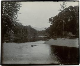 Upper Mimika [River] seen from camp at Par[___?]