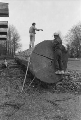 [Ron and Isaac measure canoe log]