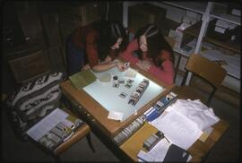 Staff or students organize slides in the old Museum of Anthropology workroom