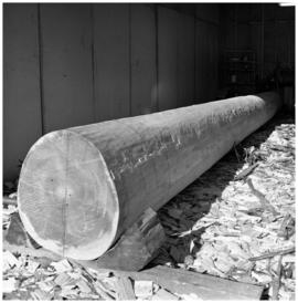 Hunt Pole